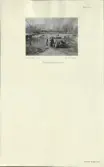 Skansen. Arbetsliv. Fågeldammen rensas 1949.