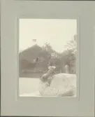 Skansen. Berättare. Levi Johansson.