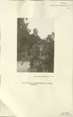 Skansen. Berättare. En man håller tal under Folkuniversitetsföreningens första hembygdskurs 1921.