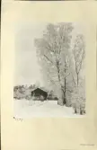 Skansen. Byggnader. Blekingestugan.