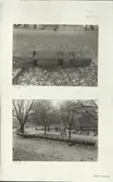 Skansen. Byggnader. Dala- och Moragården under flytten och uppförandet. Morastugans kroppås.
