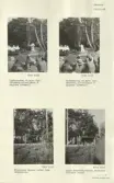 Skansen. Byggnader. Dala- och Moragården under flytten och uppförandet. Invigningen. Kyrkoherden från Mora håller gudstjänst på Seglora kyrkvall. Professor Gustaf Clason och andra kammarens talman Bernhard Eriksson talar från Orsakullen.