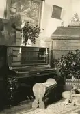 Interiör inifrån borgmästarvillan i Sölvesborg, som idag huserar Hotell Humbla, uppfördes 1903 av borgmästare Philibert Humbla (1863-1925). Far till Philibert Humbla, museiman och svensk konsthistoriker (1896-1952) som 1940 blev förste chef vid Gävle museum (källa Wikipedia).