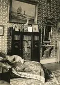 Interiör inifrån borgmästarvillan i Sölvesborg, som idag huserar Hotell Humbla, uppfördes 1903 av borgmästare Philibert Humbla (1863-1925). Far till Philibert Humbla, museiman och svensk konsthistoriker (1896-1952) som 1940 blev förste chef vid Gävle museum (källa Wikipedia).