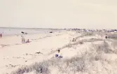 Olofsbo havsbad. Badliv vid sandstranden med sanddyner och i bakgrunden camping.