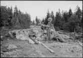 Vägbygge