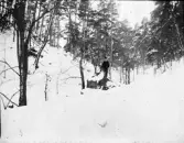 Man och hund i skogsmark, Uppsala