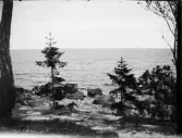 Strandkant, Uppland