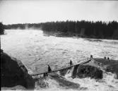 Kvinna och män går på en spång över forsande vatten, Dalälven, Älvkarleby, Uppland