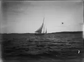 Tre kvinnor och en man på en segelbåt, Uppland