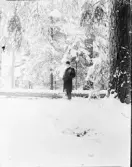 Man i snölandskap, Uppland