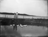 Flicka och kvinna står på brygga och tittar på ankor, Uppland