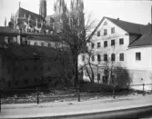 Fyrisån, Akademikvarnen och Uppsala domkyrka, Uppsala, Uppland
