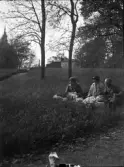 Picknick i det gröna, Uppsala, Uppland