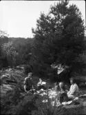 Picknick vid berghäll i skogen, Uppland