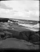 Vågor mot klipporna, Sverige