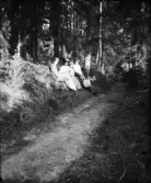 Man och kvinnor sitter i skogsbacken, Uppsala, Uppland