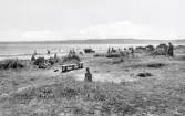 Badliv på Skummeslövsstrand. Några fordon är parkerade på stranden.