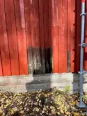 Panel på hyttans södra sida under ommålning.