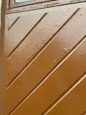 Blåsor i färgen på orangeriets sydöstra dörr.