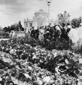 Sovjetunionens Jorbruksutställning 