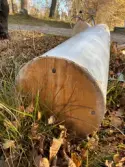 Lusthuset i Mackmyra brukspark efter avslutade arbeten. Pelare 3 var skarvad i toppen.