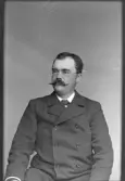 Mustaschprydd man