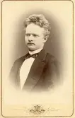 Porträtt av Henrik Krey (enligt text i album).