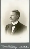 Mansporträtt.