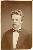 Mansporträtt.