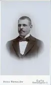 Mansporträtt.