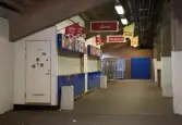 Råsunda stadion