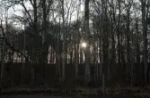 Taxinge-Näsby herrgård