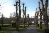 Taxinge-Näsby herrgård