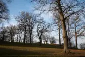 Taxinge-Näsby herrgård