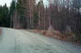 Skogen, äldre grindstolpar av sten vid väg 2127. Kvarnen 1:9  Ör