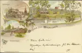 Skansen. Byggnader. Delsbogården. 