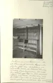 Skansen. Byggnader. Delsbogården före flyttningen. Västeräng nr 4. Framkammaren, hyllor från den inredning som uppsattes 1882, då Theodor Lindbom inredde framkammaren till butik. Samtidigt upptogs en dörr på gaveln. Affären existerade mellan åren 1882 och 1891. I samband härmed blev vardagsstugan avdelad i två rum.
E.U.29480