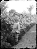 Liten gosse