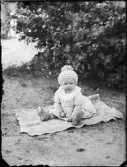 Liten på filt