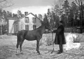 Man och häst utanför bostadshus.