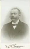 Mansporträtt.