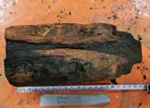 Tvärgående balk med uttag. Provet skall ha avverkats någon gång mellan 1518 och 1532.