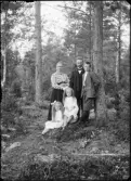 Familj i skogsbryn