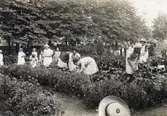 Viktoriaskolan uppfördes under åren 1875-1877 av byggmästare Abraham Pehrsson och arkitekt var Viktor Adler.
Skolträdgården vid Plantage- och Linnégatan. Lärare Hans Nilander.