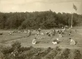 Rambergsskolan uppfördes åren under åren 1915-1916 av firman F. 0. Peterson & Söner och arkitekter var Arvid Bjerke och Ragnar Ossian Swensson.
Skolbarnsträdgården.
Övre Hallegatan 1