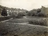 Ånässkolan uppfördes åren 1901-1903 av byggmästare: J. A. Forshell och arkitekt var Yngve Rasmussen.
Skolbarnsträdgården.
Falkgatan 8