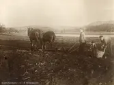 Räddningsinstitutet å Vrångsholmen.
År 1908 inköptes Vrångsholmen i Tanums socken och efter att en byggnad uppförts togs egendomen i bruk sommaren 1910, varvid 22 pojkar förflyttades och verksamheten på Hisingen avvecklades. Namnet blev 