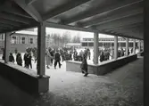 Mossebergsskolan uppfördes på 1950-talet och ligger på Doktor Håléns gata.