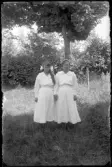 Signe och Ester Johansson